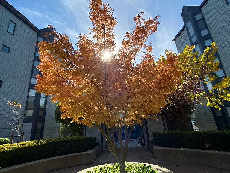 PARK PLACE APARTMENTS — Photo 6