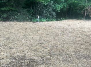 45 Alan Retreat Rd, Hendersonville, NC 28792