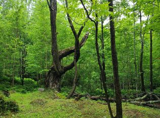 L-11 One Cornforth Rd, Farmington, ME 04938