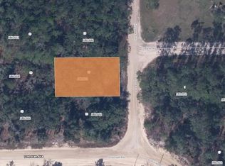 103 Saint Johns Ave #27, Interlachen, FL 32148