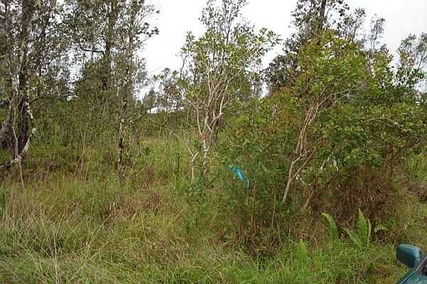 1st image of 16-458 Paradise Cir Lot 1