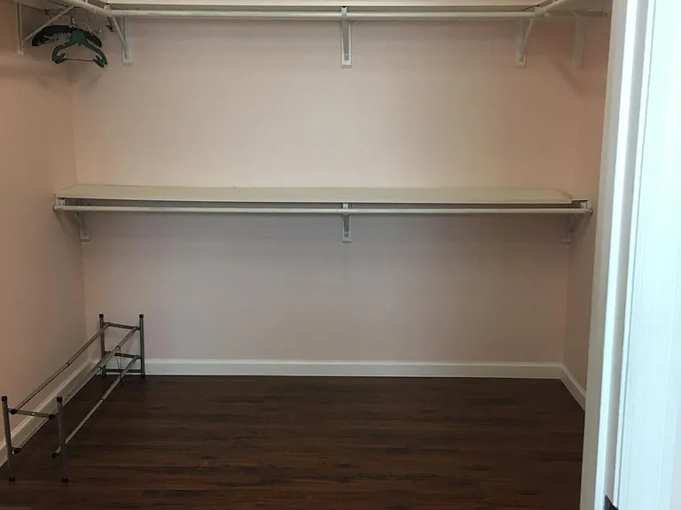 Master large walk-in closet