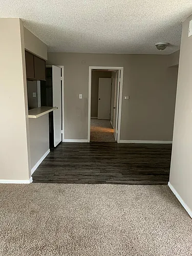 Floor plan 1 bedroom 1 bath