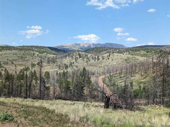 222 Pascoe Lane, Fort Garland, CO 81133