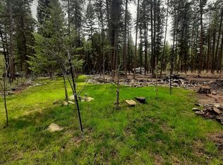 21472 Conifer Dr, Huson, MT 59846