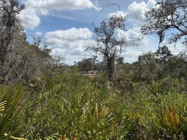 205 Orange St, Lake Placid, FL 33852