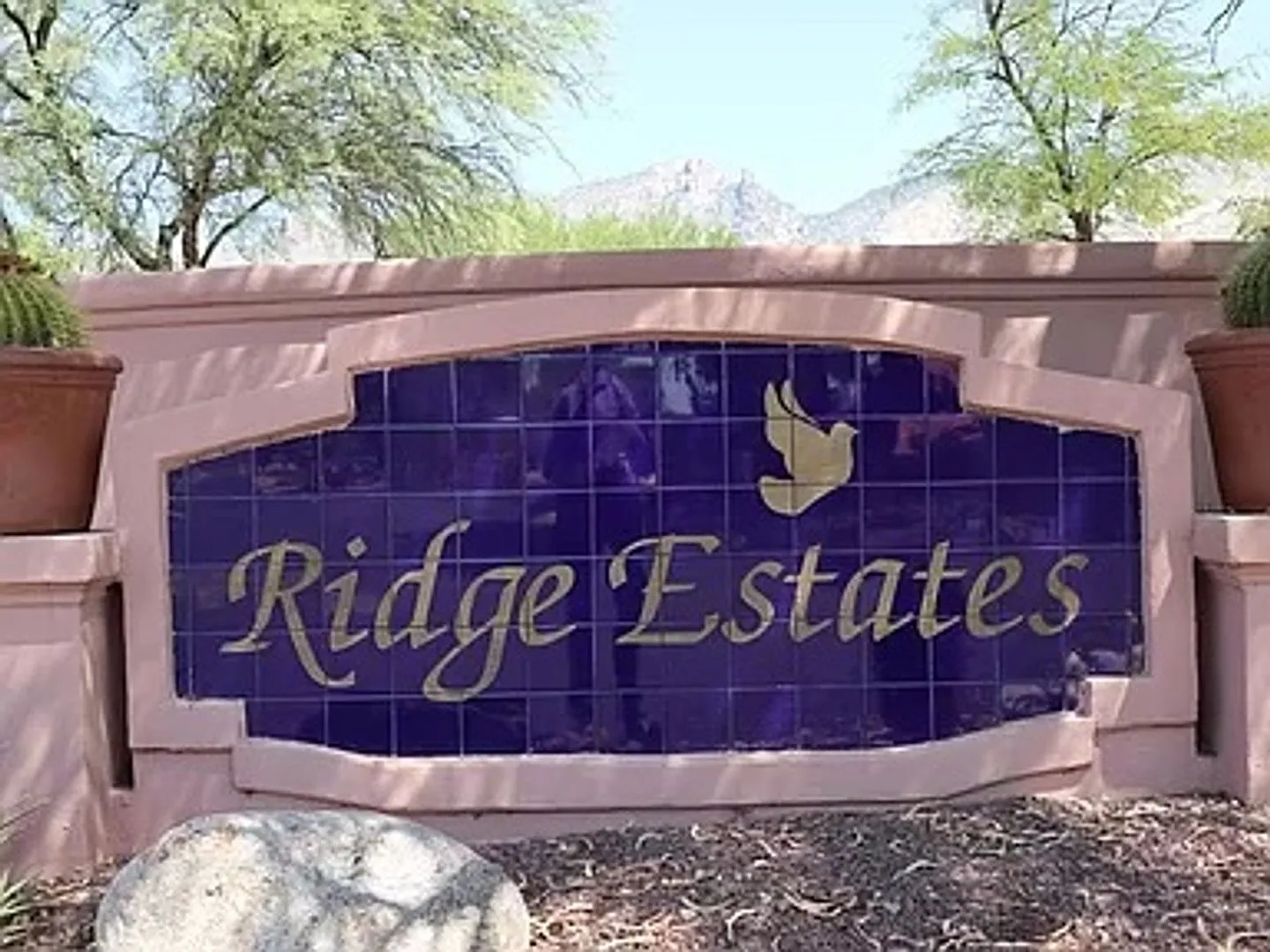Available! Beautiful 4 Bedroom Home in Guard-Gated La Paloma Ridge Estates — Photo 2