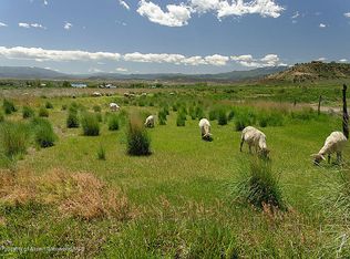 01 223 233 County Road, Rifle, CO 81650