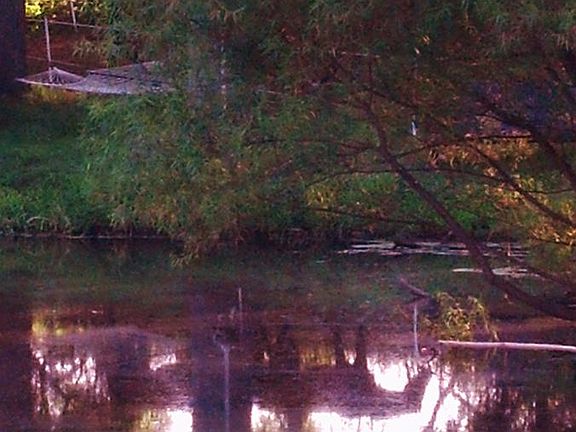 afternoon reflections