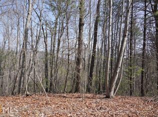 23 Bushy Head Rd, Cherry Log, GA 30522