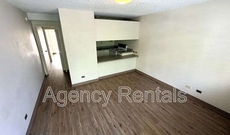 45 Aulike St #203 — Photo 1