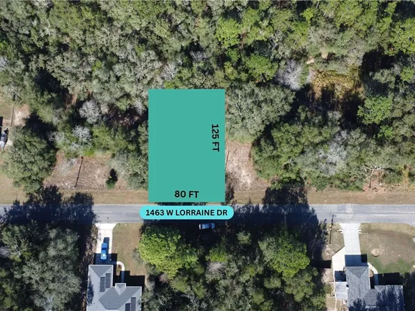 1463 W Lorraine Dr, Citrus Springs, FL 34434