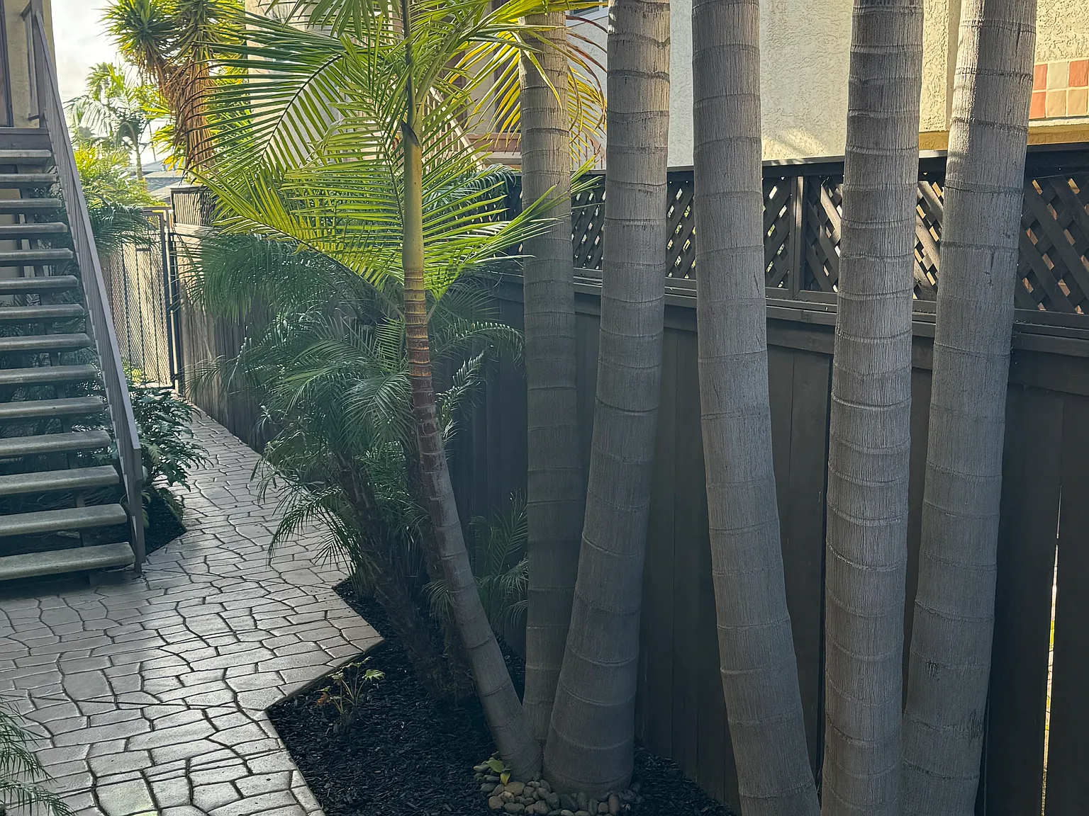2 bed, 990 sqft, $3,495 — Photo 3