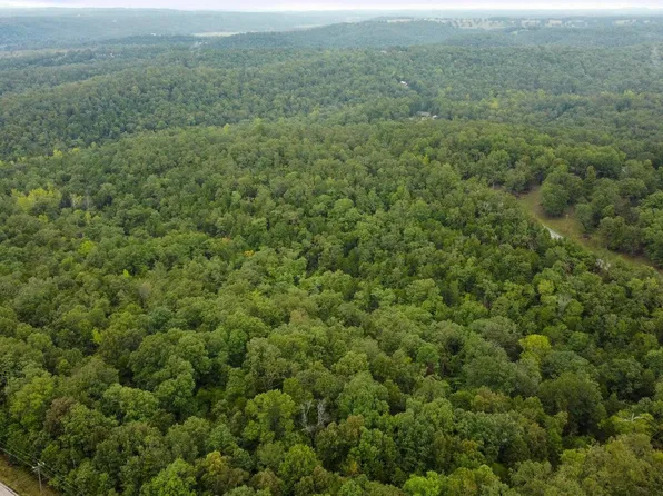 000 John Wesley Drive Blk 4 Lot 9, Theodosia, MO 65761