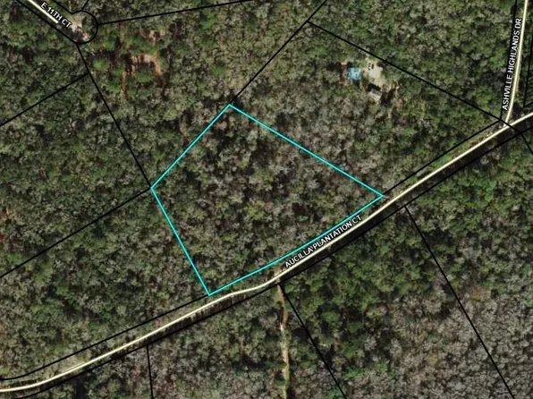 Aucilla Plantation Ct, Greenville, FL 32331