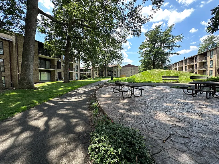 2052 Royal Fern Ct #2B — Photo 23