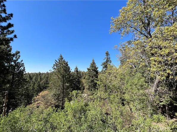 0 Falling Leaf Dr, Green Valley Lake, CA 92341