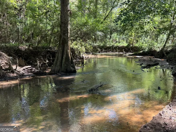 32 Wallace Buie Rd, Webb, AL 36376