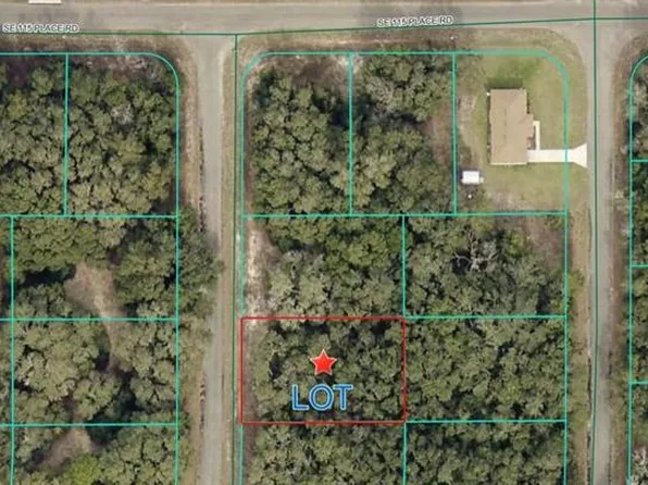 Fisher Lane Ct Lot 9, Ocklawaha, FL 32179