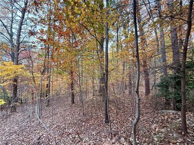 1345 Hunter Dr #1345, Ranger, GA, 30734