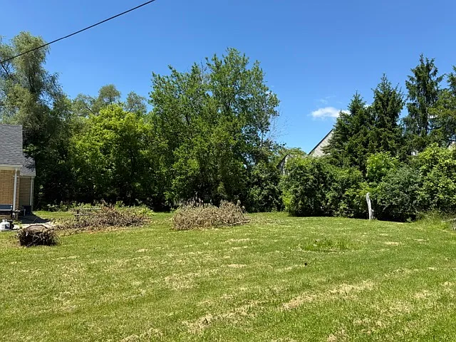 2923 E Square Lake Rd — Photo 11