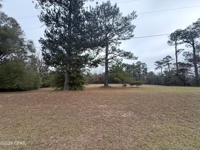 2054 Dairy Rd, Sneads, FL, 32460