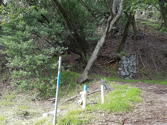 5th image of 602 Shoreline Hwy