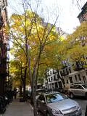 Rented by Prince Real Estate Associates LLC | media 55