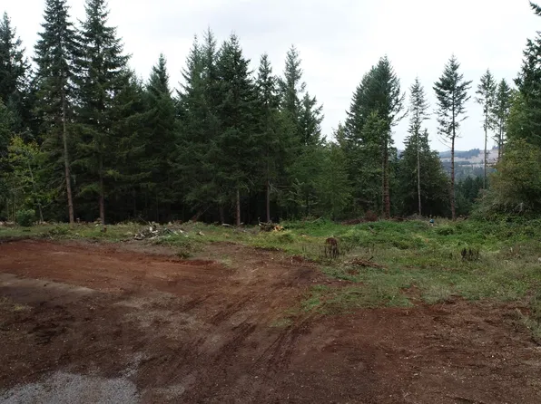 25005 Springer Rd, Sweet Home, OR 97386