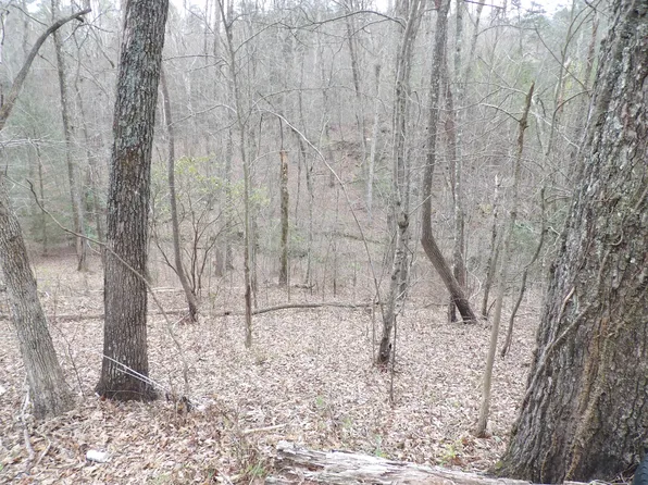 94 South Ln, Pikeville, TN 37367