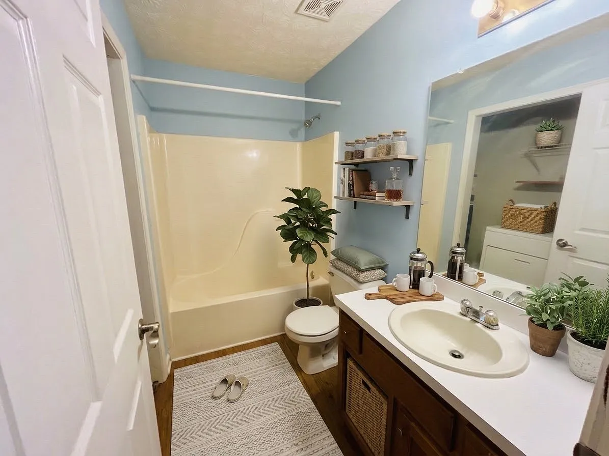 1 bed, $900 — Photo 4