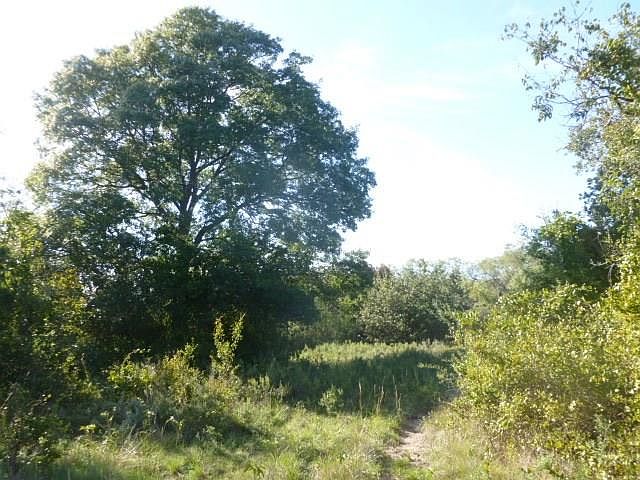 1st image of 625 County Road 140