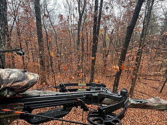 68th image of this home