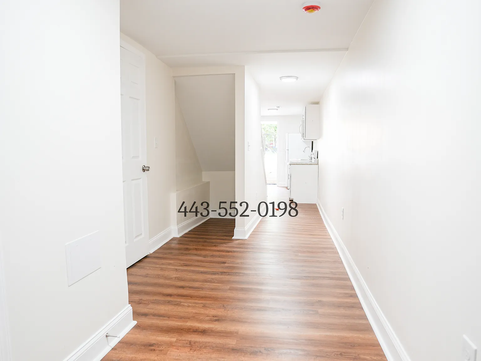 1 bed, 1000 sqft, $1,000 — Photo 2