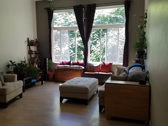Spacious living room and windows