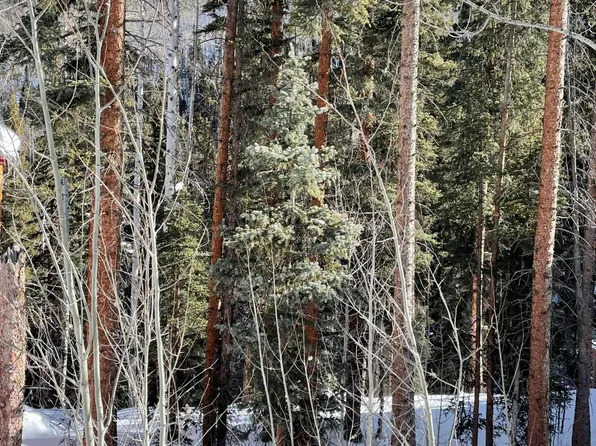 106 Cabins Ln #6, Telluride, CO 81435