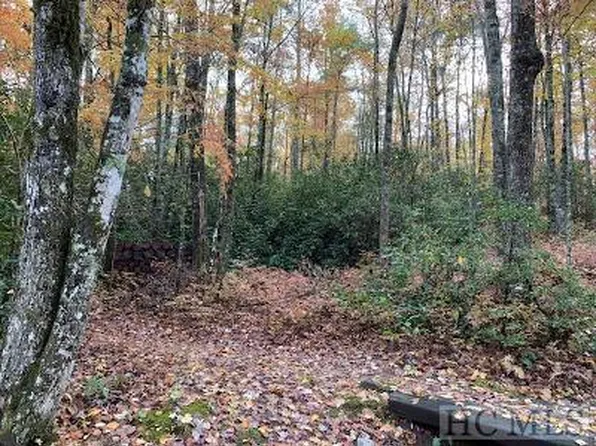 Wild River Rd, Cashiers, NC 28717