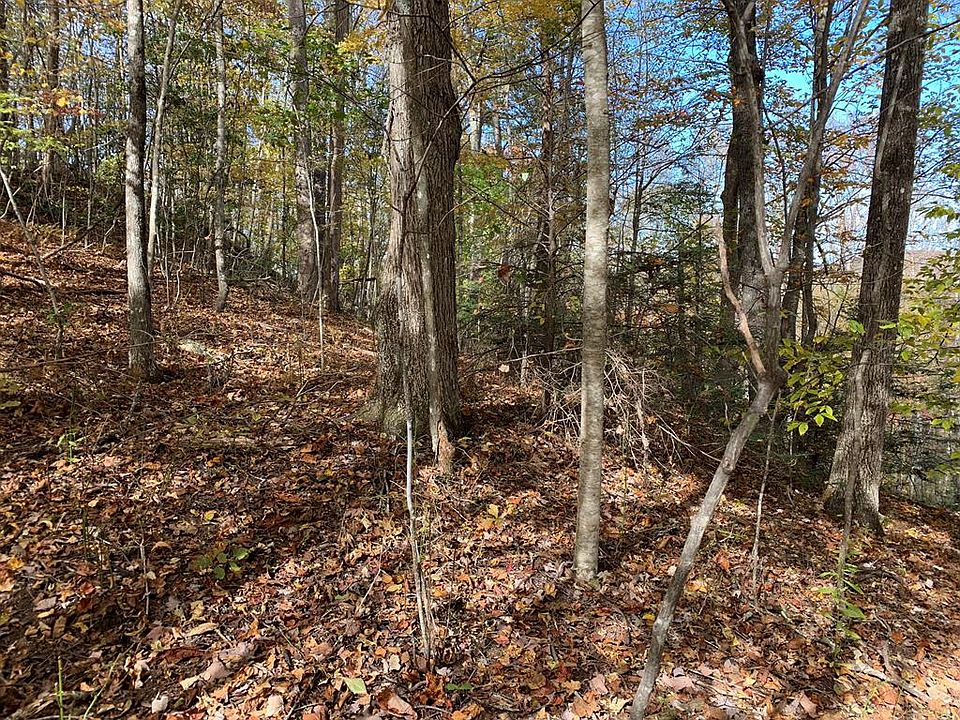 2nd image of Holly Ridge Dr
