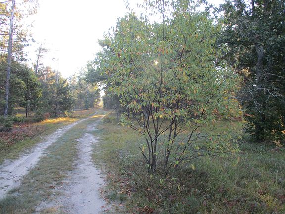 5th image of 1540 S Stephan Bridge Rd