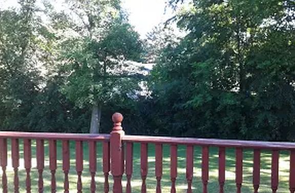 View from Deck