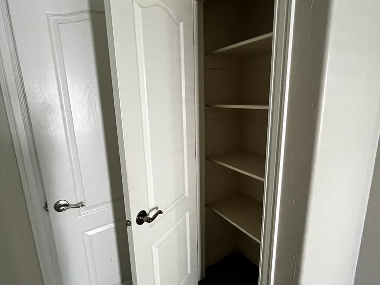 Storage closet in master bedroom