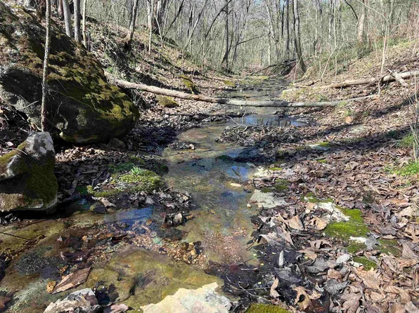 4411 Red Bluff Rd, Marshall, AR 72650