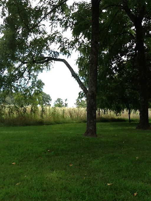 1st image of 9020 Weketa Dr