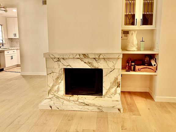 Fireplace/ living room