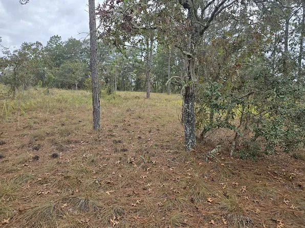 22963 SW Sea Cliff Ave, Dunnellon, FL 34431