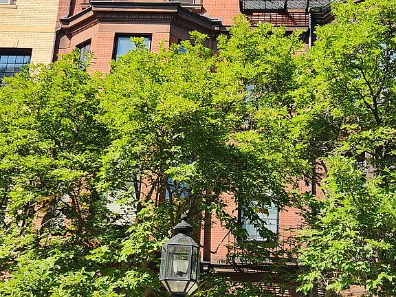 2nd image of 231 Commonwealth Ave #2-R