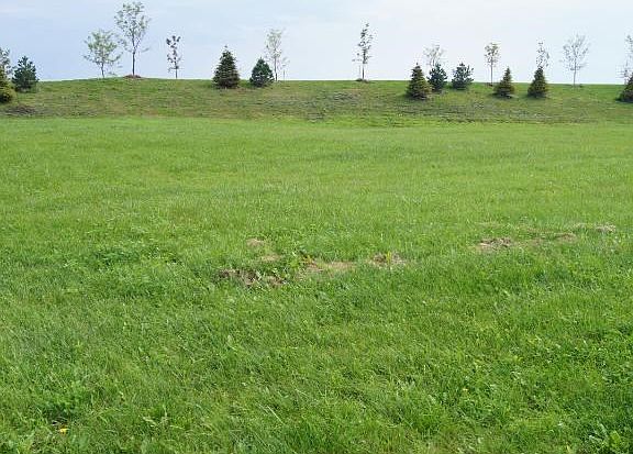 Beautiful large corner lot located on 16th Ave SE.