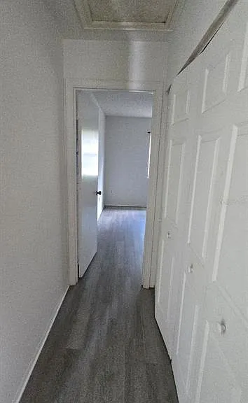 304 Camillia Ln #A — Photo 8