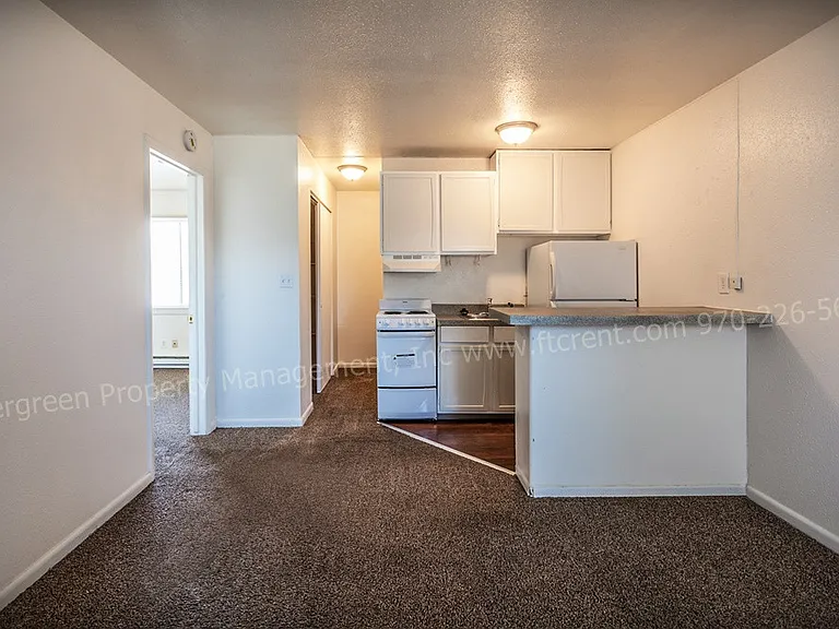 500 W Laporte Ave — Photo 62