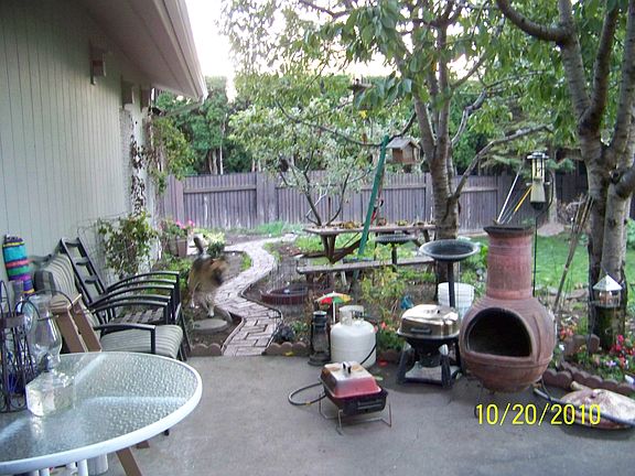 Back Yrd Patio/Fruit Trees